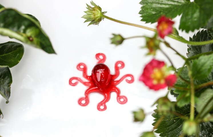 Printed Jelly Octopus - Video No. 3